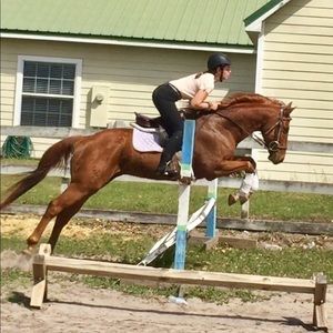 Meet your Posher, Aslyn